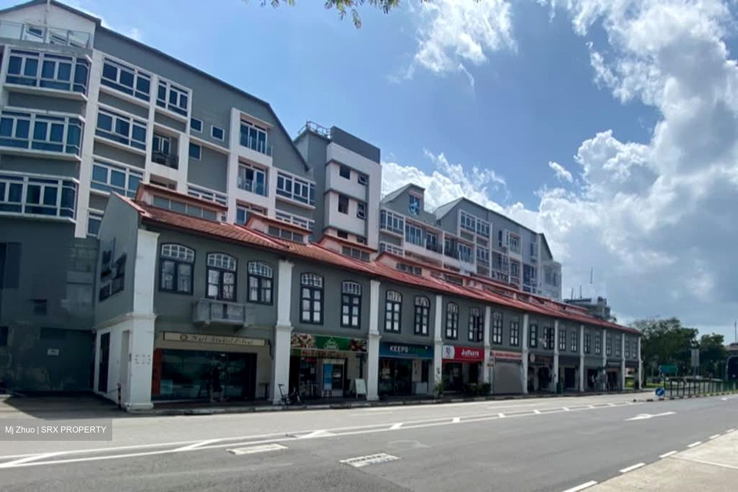Icon @ Pasir Panjang (D5), Shop House #595650161
